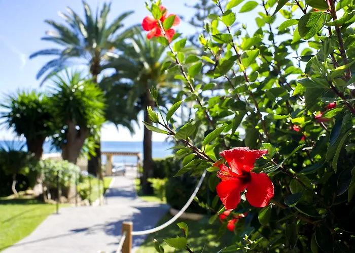 Ξενοδοχείο Globales Gardenia 3*